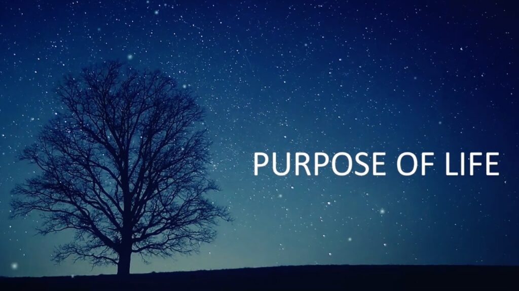 Live a Life of Purpose