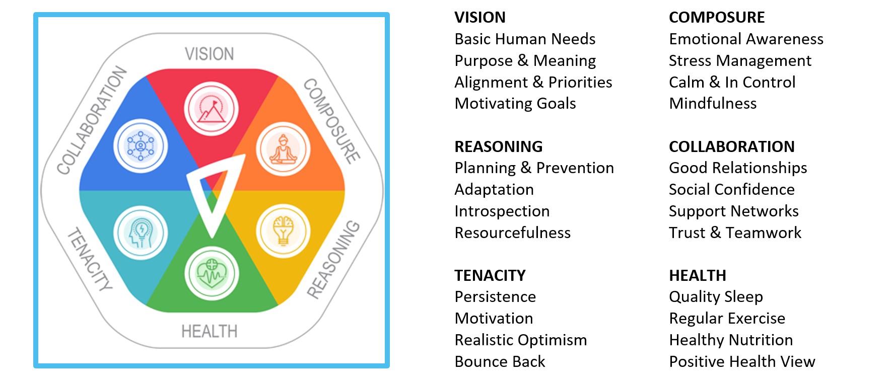 RAW - The Breakthrough Resilience and Well-being Course© 3