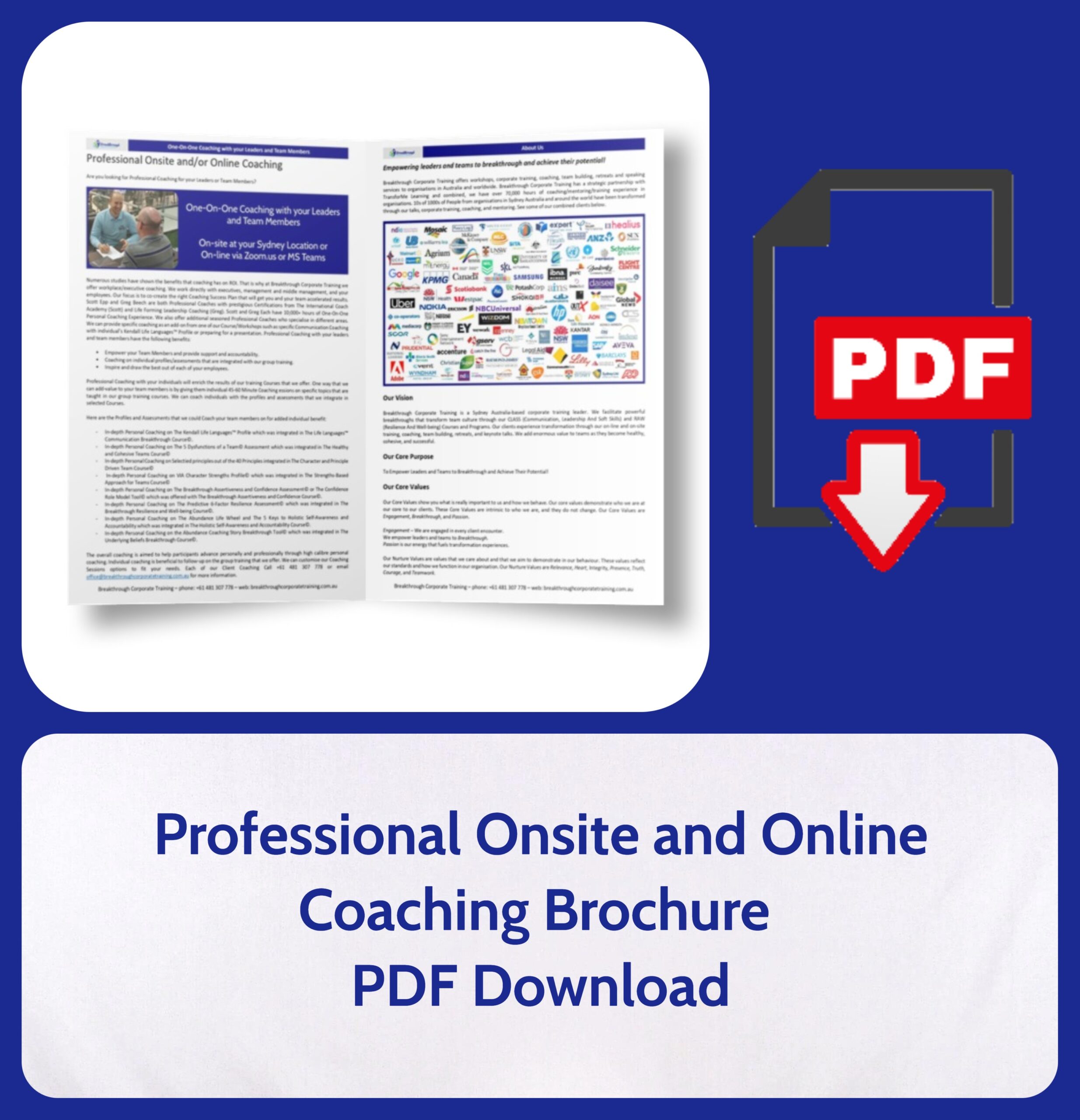 Professional Onsite and Online Coaching Brochure