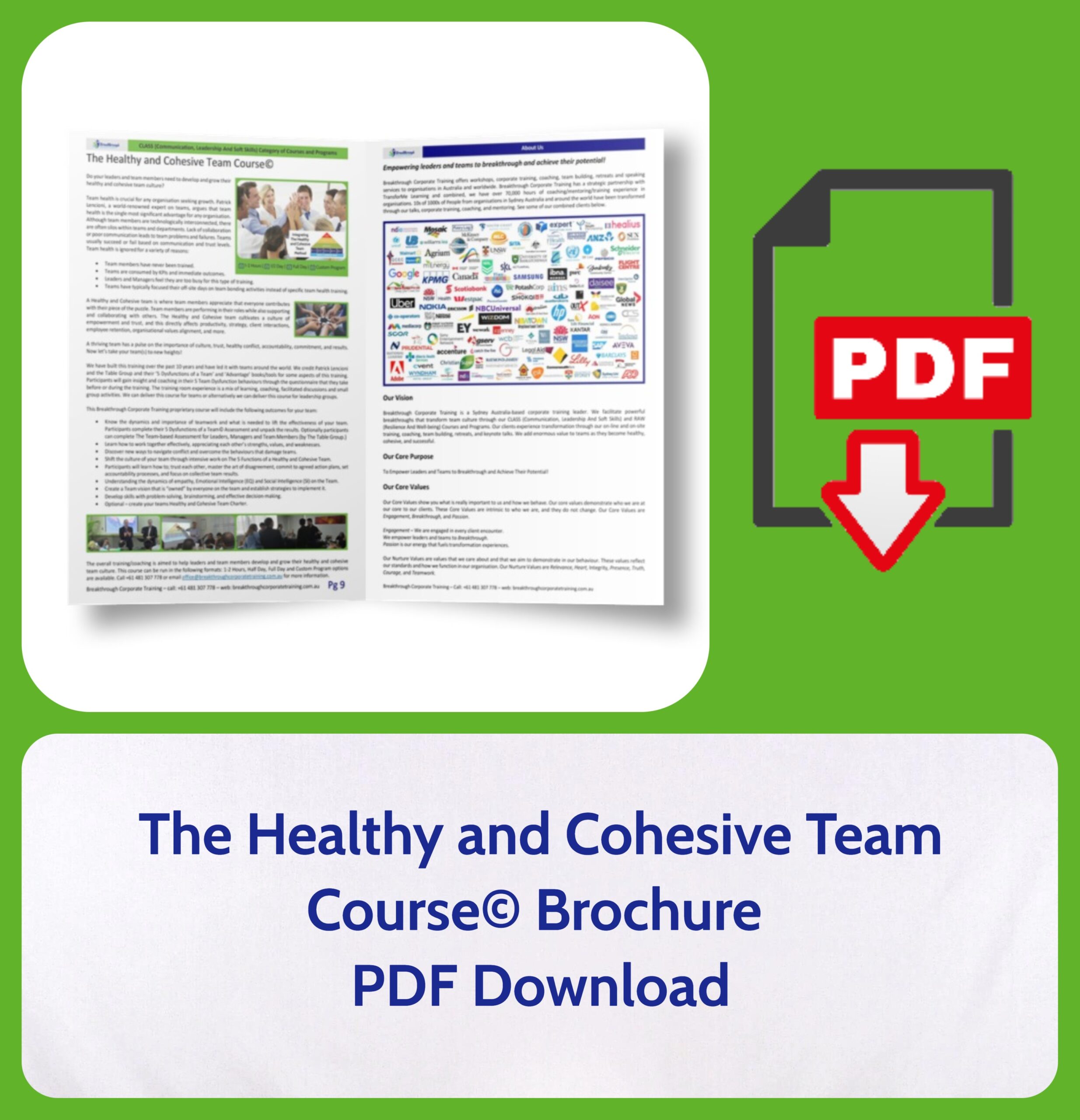 The Healthy and Cohesive Team Course
