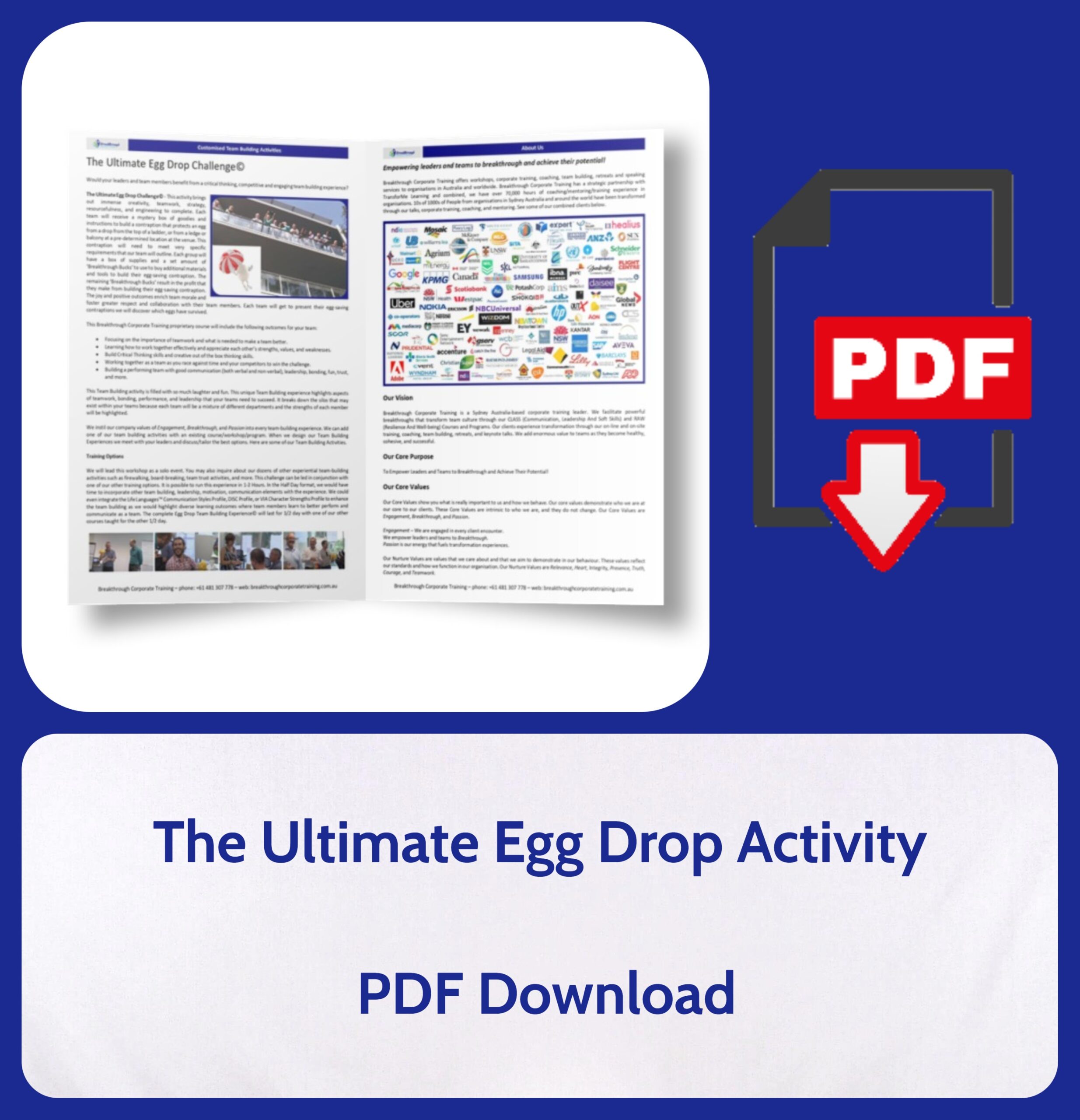 The Ultimate Egg Drop Activity