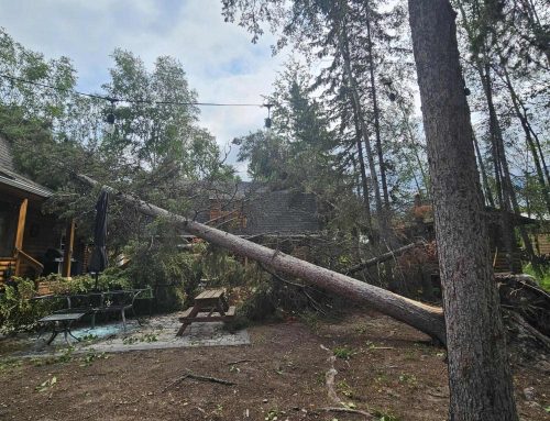 When the Storm Hits: What a Family Clean-Up Taught Me About High-Performing Teams
